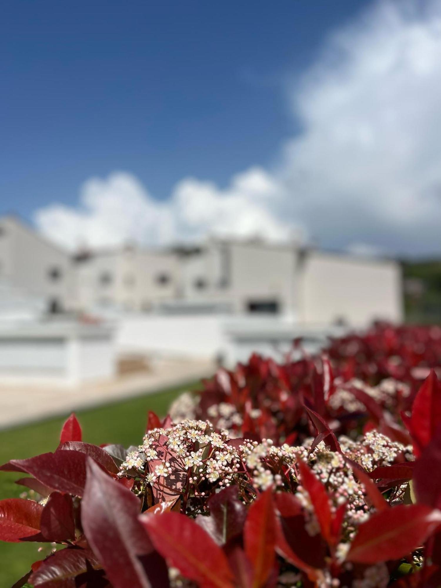 The Florence Hills Resort & Wellness Pelago Buitenkant foto
